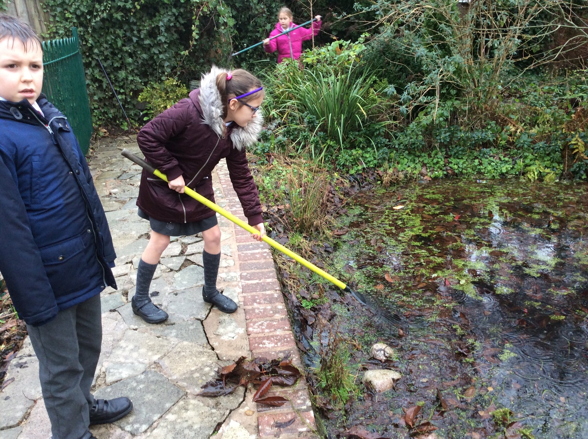 Image of Pond clearance